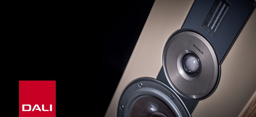 dali-sonik-bann2er