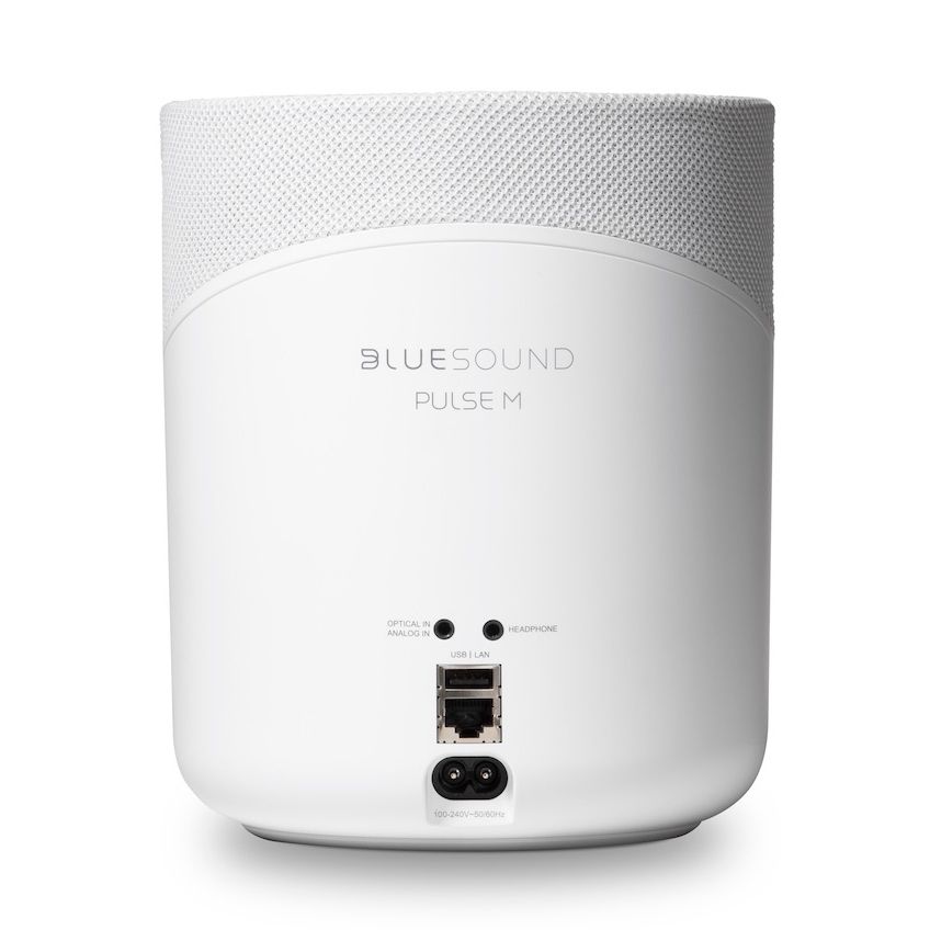 Bluesound PULSE M - Rückansicht