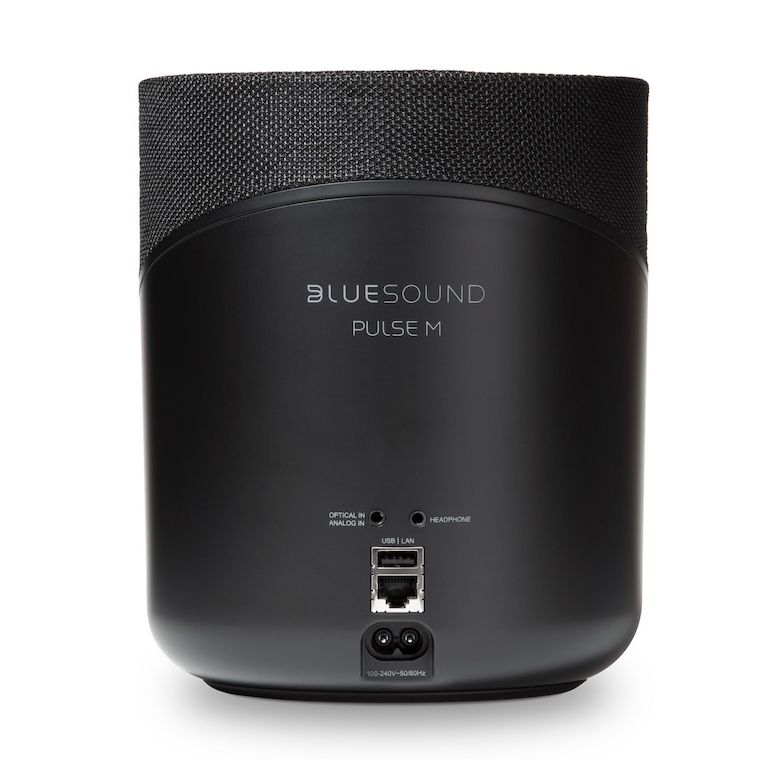 Bluesound PULSE M in Schwarz Matt - Rückansicht