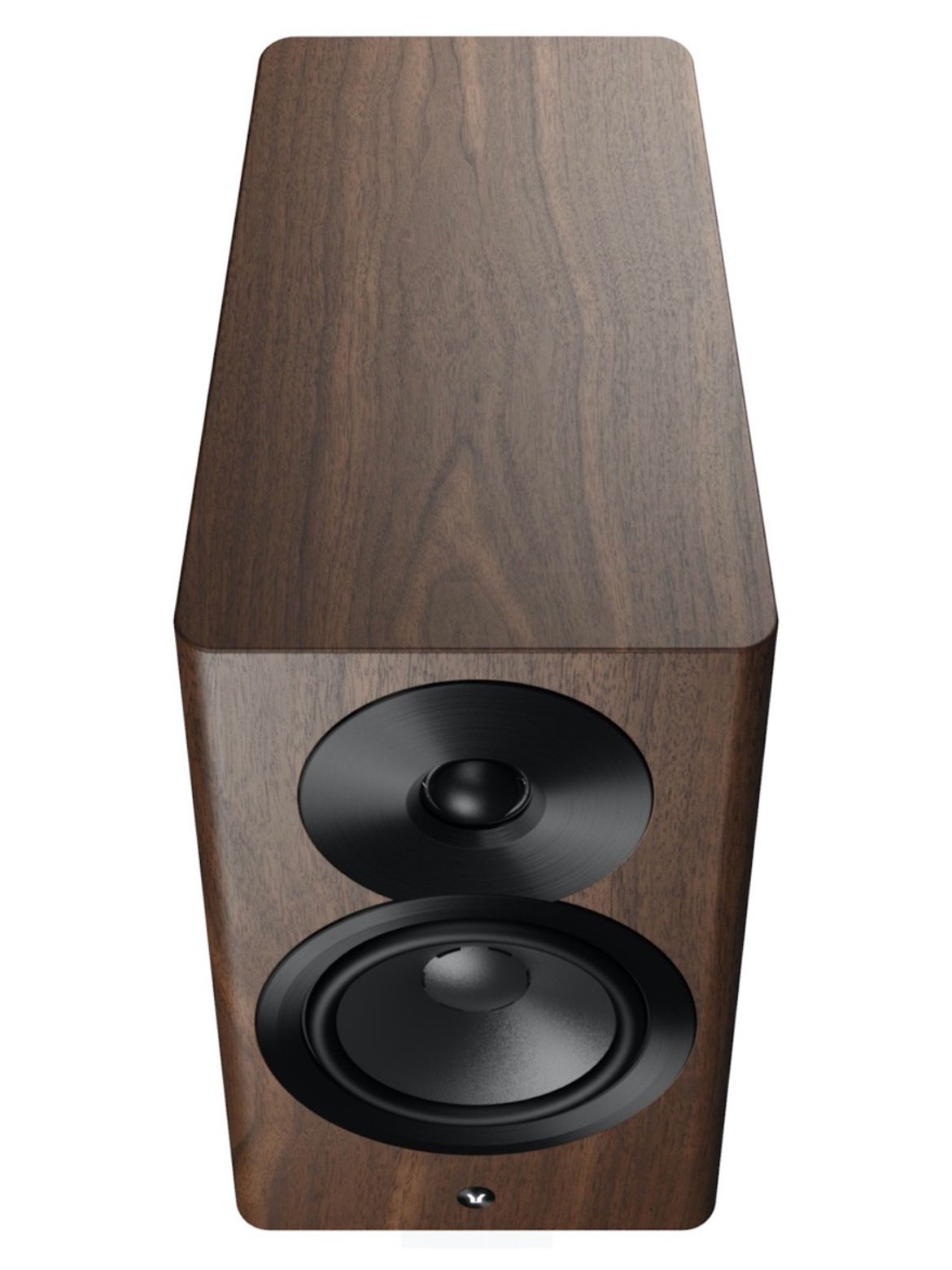 Dynaudio Focus 10 in Nussbaum - Draufsicht