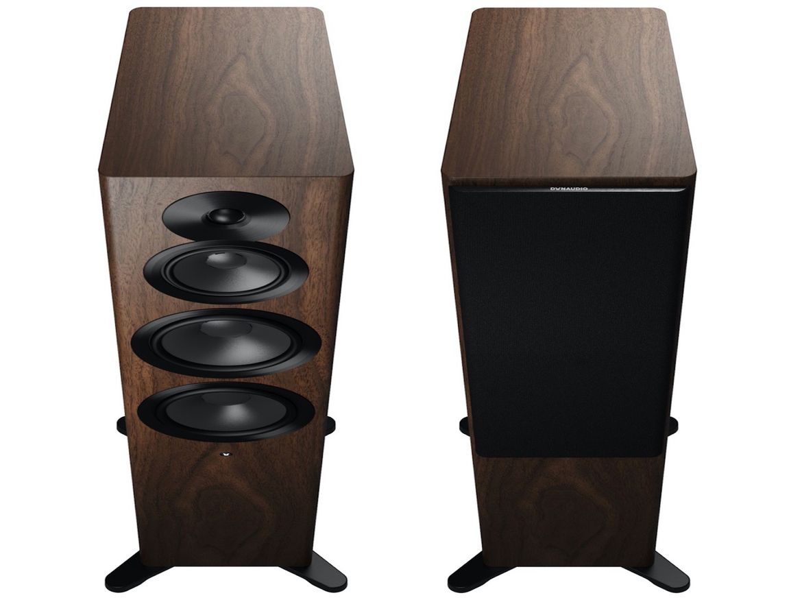 Dynaudio Focus 50 in Nuss