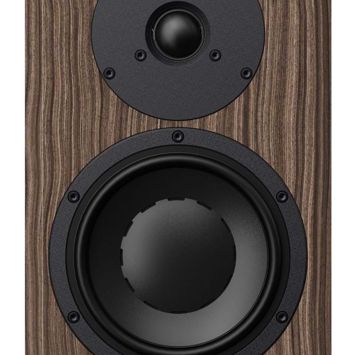 Dynaudio Special Forty - Frontansicht