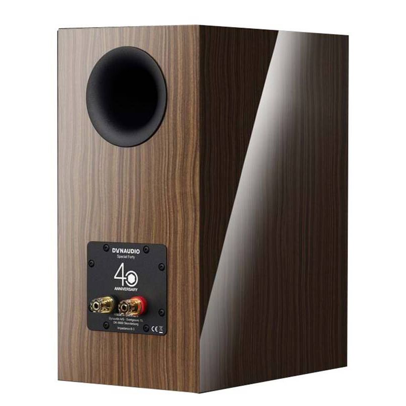 Dynaudio Special Forty - Rückansicht