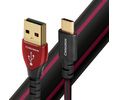 audioquest_cinnamon_usb_a-c