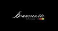 boaacoustic_black-sonic-13_video