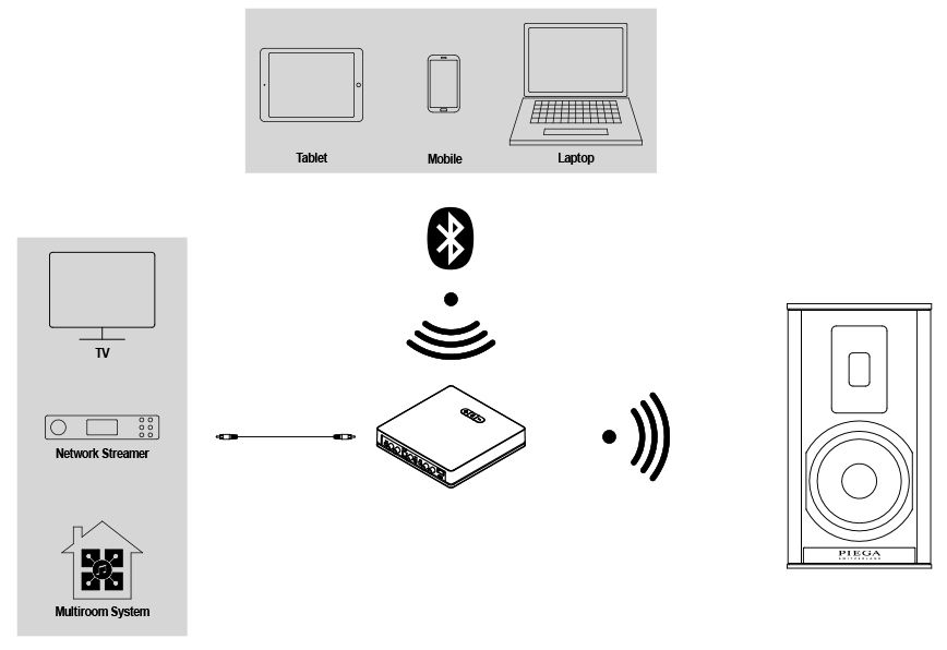 Piega Premium Wireless Funktion