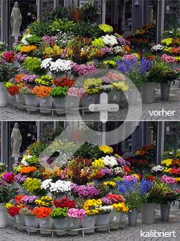 Blumen am Kiosk in Prag isf kalibriert